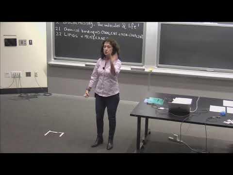 2. Chemical Bonding and Molecular Interactions; Lipids and Membranes